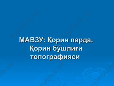 қорин парда. қорин бўшлиғи топографияси — PPT