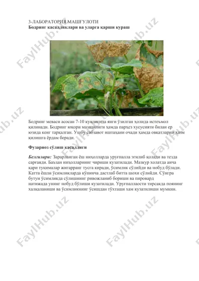 бодринг касалликлари ва уларга қарши кураш — DOCX