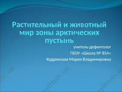 растительный и животный мир зоны арктических пустынь — PPTX