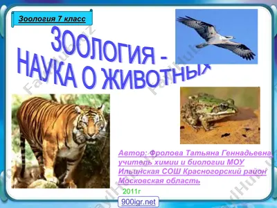 зоология — PPT