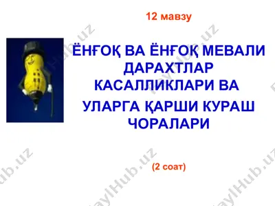 ёнғоқ ва ёнғоқ мевали дарахтлар касалликлари ва уларга қарши кураш чоралари — PPT