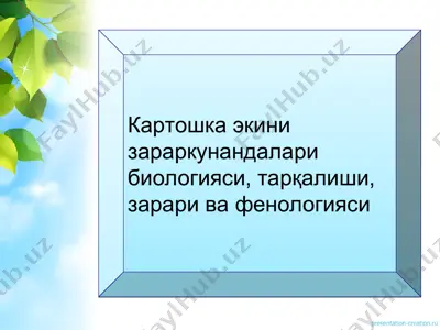 kartoshka ekini zarakunandalari biologiyasi, tarkalishi, zarari va fenologiyasi — PPT