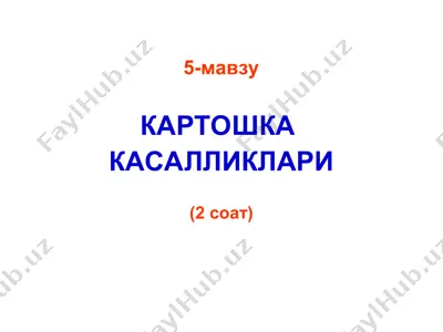 картошка — PPT