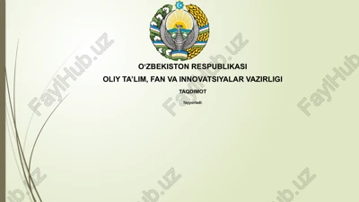 raqamli ma'lumotlar bilan ishlash asoslari — PPTX