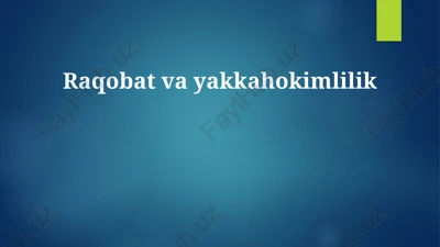 raqobat va yakkahokimlilik — PPTX