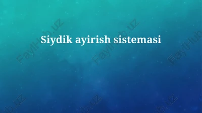siydikayirishsistemasi — PPTX