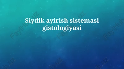 siydik ayirish sistemasi gistologiyasi — PPTX