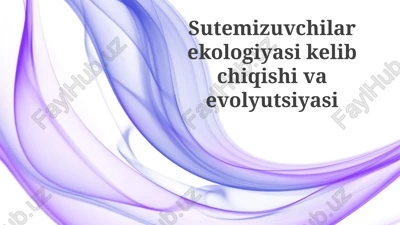 filtrlash oziqlantiruvchilarning kelib chiqishi va evolyutsiyasi — PPTX