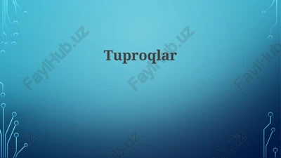 tuproqlar — PPTX