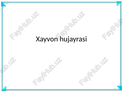 xayvon hujayrasi — PPTX