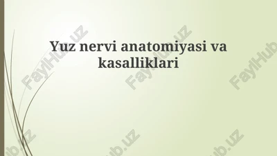 yuz nervining anatomiyasi — PPTX