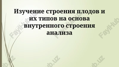 izuchenie stroeniya plodov — PPTX
