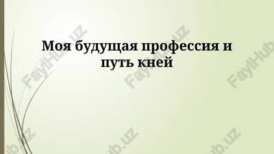 moya budushaya professiya i put k ney — PPTX