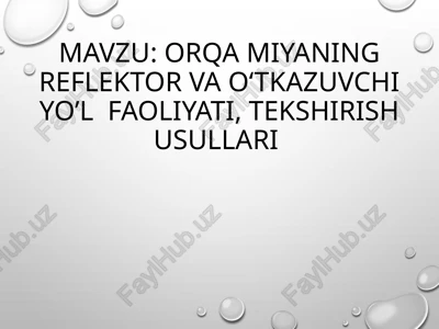 orqa miyaning reflektor vao‘tkazuvchiyo’l faoliyati, tekshirish usullari — PPTX