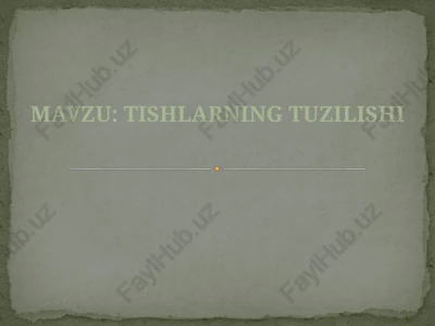tishlarning tuzilishi — PPTX