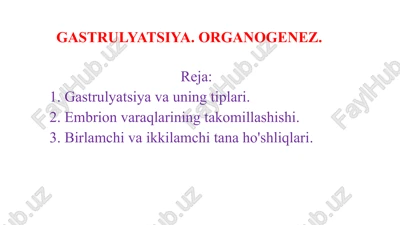 gastrulyatsiya. organogenez. — PPTX