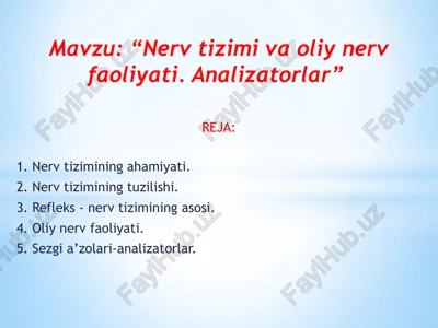 nerv tizimi va oliy nerv faoliyati. analizatorlar — PPTX