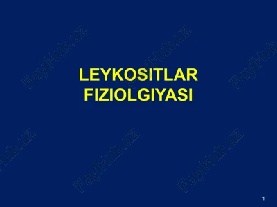 leykositlar fiziologiyasi — PPTX