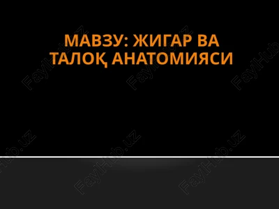 jigar va o't pufagi anatomiyasi — PPTX