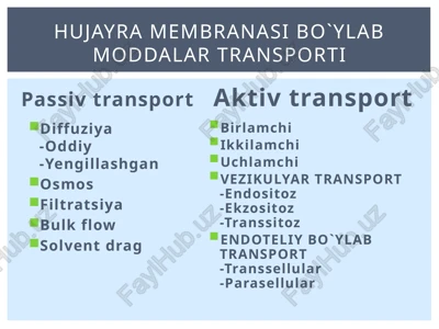 passivtransport — PPTX