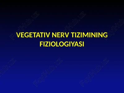 vegetativ nerv tizimining fiziologiyasi — PPTX