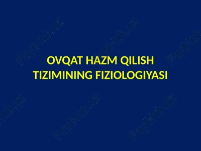 ovqat hazm qilish tizimining fiziologiyasi — PPTX