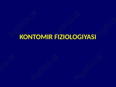 kontomir fiziologiyasi — PPTX