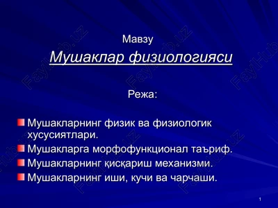 mushaklar fiziologiyasi — PPT