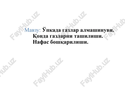 o'pkada gazlar almashinuvi, nafas boshqarilishi — PPTX