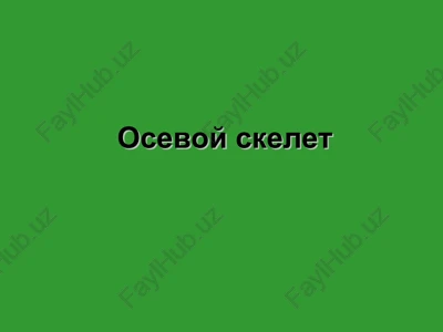 osevoy skelet — PPT