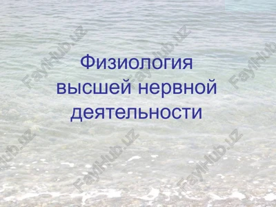 fiziologiya visshey nervnoy deyatelnosti — PPTX
