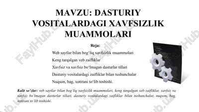 dasturiy vositalarda gixavfsizlik muammolari — PPTX