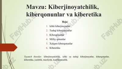 kiberjinoyatlar — DOCX