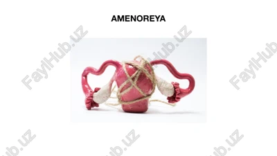 amenoreya — PPTX