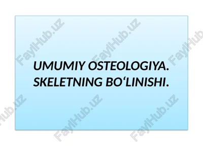 umumiy osteologiya. skeletning bo‘linishi. — PPTX