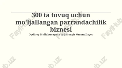 300 ta tovuq uchun mo'ljallangan parrandachilik biznesi — PPTX