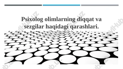 psixolog olimlarning diqqat va sezgilar haqidagi qarashlari — PPTX