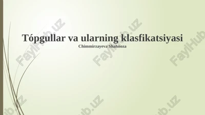 loy tuproqlar: ta'rifi va xususiyatlari — PPTX