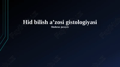eshitish organi gistologiyasi — PPTX