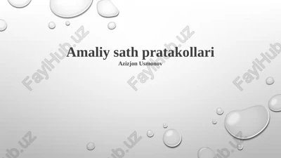 amaliy sath pratakollari — PPTX