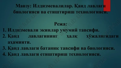 ildizmevalilar — PPTX