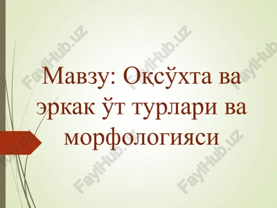 oqso'xta va erkak o't turlari va morfologiyasi — PPT