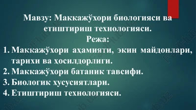 makkajo'xori biologiyasi va etishtirish texnologiyasi — PPTX