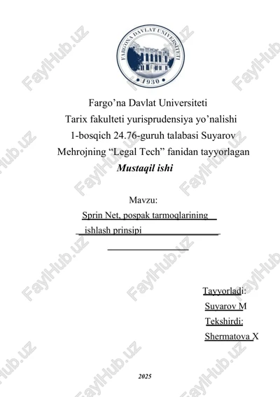 sprin net va zamonaviy paketli tarmoqlar — DOCX