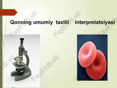 qonning umumiy taxlili interpretatsiyasi — PPTX