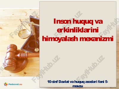 inson huquq va erk inliklarini himoya qilish mexanizmi — PPTX