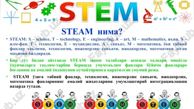 steam nima? — PPTX