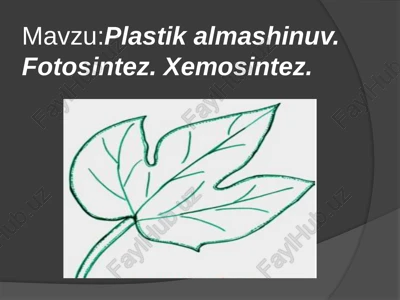 plastik almashinuv — PPTX