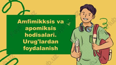 amfimikksis va apomiksis hodisalari — PPTX