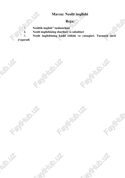 neolit inqilobi — DOCX